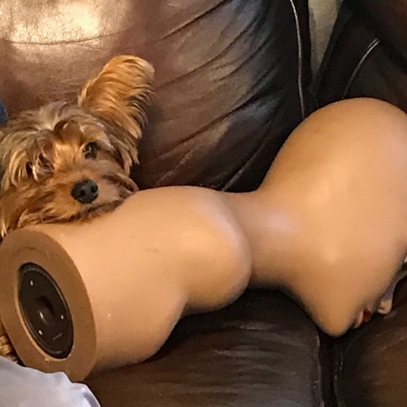 I’ll do anything for my fur baby.. Welcome CoCo - Picture 2 of 7